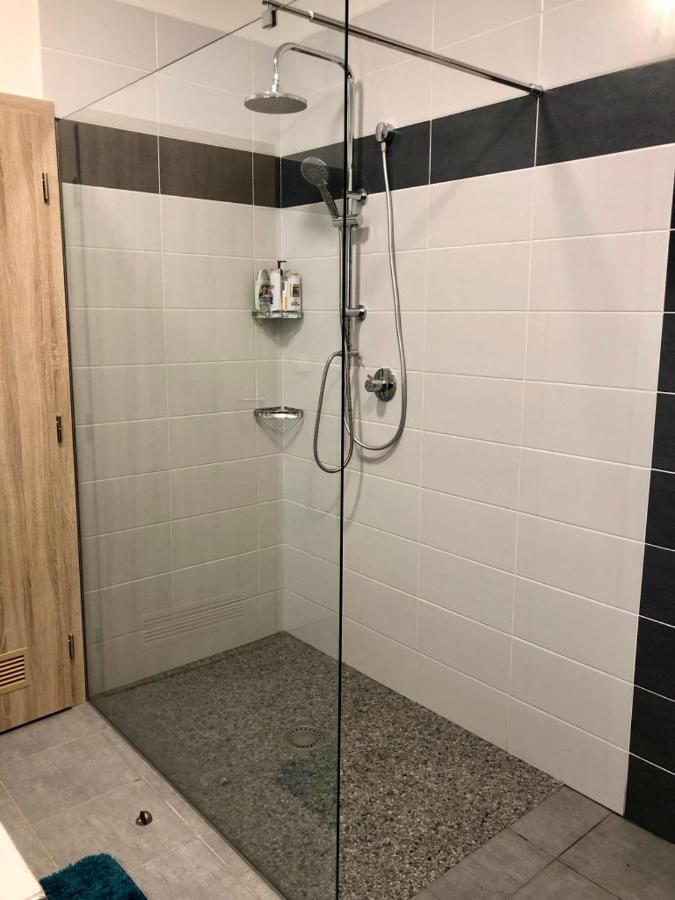 Apartman Lipno G11 Frymburk Zewnętrze zdjęcie